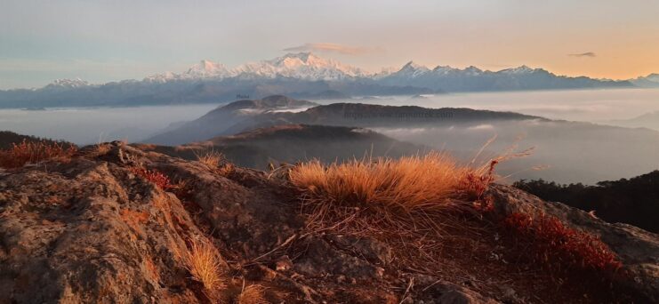 Sandakphu Phalut Trek in Darjeeling