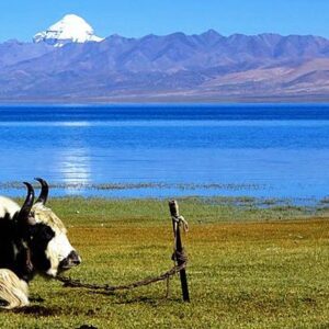 Simikot to Kailash Pilgrimage Trek