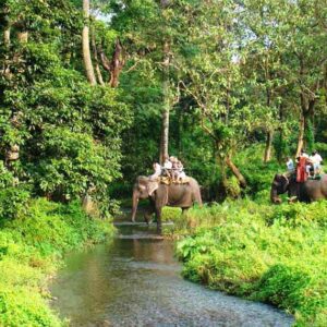 Dooars wildlife Safari