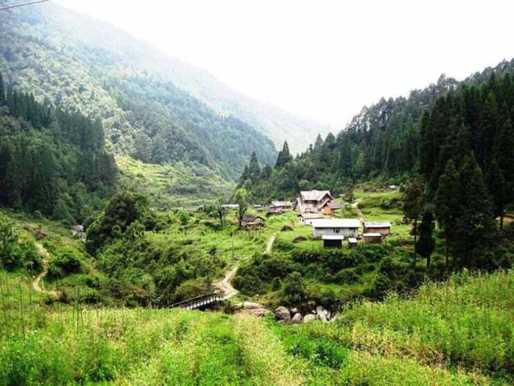 Sandakphu Phalut Trek Packages in Darjeeling