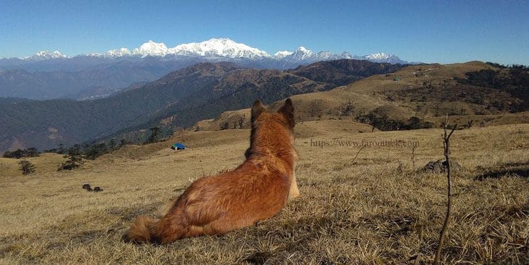 Sandakphu Phalut Trek